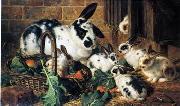 unknow artist Rabbits 198 oil painting reproduction